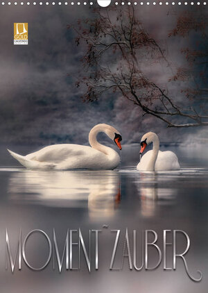 Buchcover Moment Zauber (Wandkalender 2023 DIN A3 hoch) | Caros Foto Linse | EAN 9783674798633 | ISBN 3-674-79863-8 | ISBN 978-3-674-79863-3