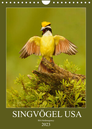 Buchcover Singvögel USA (Wandkalender 2023 DIN A4 hoch) | BIA birdimagency | EAN 9783674799890 | ISBN 3-674-79989-8 | ISBN 978-3-674-79989-0