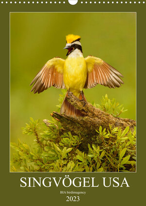 Buchcover Singvögel USA (Wandkalender 2023 DIN A3 hoch) | BIA birdimagency | EAN 9783674799906 | ISBN 3-674-79990-1 | ISBN 978-3-674-79990-6