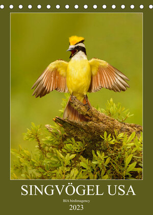 Buchcover Singvögel USA (Tischkalender 2023 DIN A5 hoch) | BIA birdimagency | EAN 9783674799920 | ISBN 3-674-79992-8 | ISBN 978-3-674-79992-0