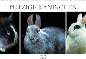 Buchcover Putzige Kaninchen - Artwork (Wandkalender 2023 DIN A2 quer) | Liselotte Brunner-Klaus | EAN 9783674809209 | ISBN 3-674-80920-6 | ISBN 978-3-674-80920-9