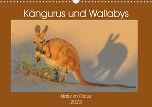 Buchcover Kängururs und Wallabys (Wandkalender 2023 DIN A3 quer) | Sidney Smith | EAN 9783674809414 | ISBN 3-674-80941-9 | ISBN 978-3-674-80941-4