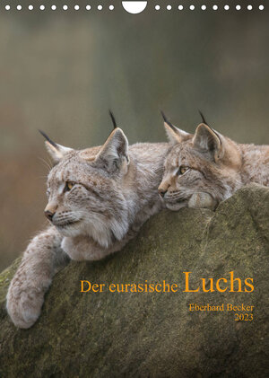 Buchcover Der eurasische Luchs (Wandkalender 2023 DIN A4 hoch) | Eberhard Becker | EAN 9783674824288 | ISBN 3-674-82428-0 | ISBN 978-3-674-82428-8