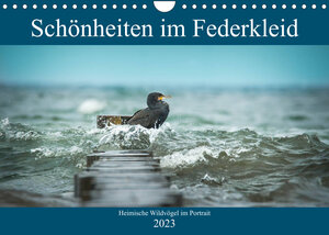 Buchcover Schönheiten im Federkleid - Heimische Wildvögel im Portrait (Wandkalender 2023 DIN A4 quer) | Sabine Grahneis | EAN 9783674829290 | ISBN 3-674-82929-0 | ISBN 978-3-674-82929-0