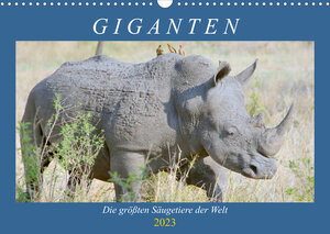 Buchcover Giganten. Die größten Säugetiere der Welt (Wandkalender 2023 DIN A3 quer) | Rose Hurley | EAN 9783674869760 | ISBN 3-674-86976-4 | ISBN 978-3-674-86976-0