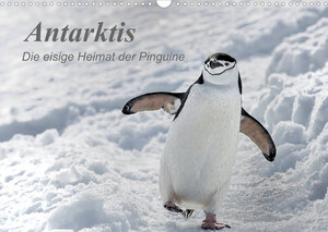Buchcover Antarktis, die eisige Heimat der Pinguine (Wandkalender 2023 DIN A3 quer) | Michèle Junio | EAN 9783674919977 | ISBN 3-674-91997-4 | ISBN 978-3-674-91997-7