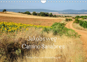 Buchcover Jakobsweg - Camino Sanabres (Wandkalender 2023 DIN A4 quer) | Alexandra Luef | EAN 9783674928511 | ISBN 3-674-92851-5 | ISBN 978-3-674-92851-1