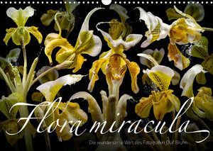 Buchcover Flora miracula - Die wundersame Welt des Fotografen Olaf Bruhn (Wandkalender 2023 DIN A3 quer) | Olaf Bruhn | EAN 9783674935953 | ISBN 3-674-93595-3 | ISBN 978-3-674-93595-3