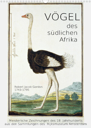 Buchcover Vögel des südlichen Afrika (Wandkalender 2023 DIN A3 hoch) | Jost Galle | EAN 9783674979025 | ISBN 3-674-97902-0 | ISBN 978-3-674-97902-5