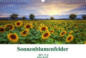 Buchcover Sonnenblumenfelder (Wandkalender 2023 DIN A3 quer) | Steffen Gierok | EAN 9783674999931 | ISBN 3-674-99993-5 | ISBN 978-3-674-99993-1