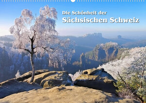 Buchcover Die Schönheit der Sächsischen Schweiz (Wandkalender 2023 DIN A2 quer) | LianeM | EAN 9783675009134 | ISBN 3-675-00913-0 | ISBN 978-3-675-00913-4