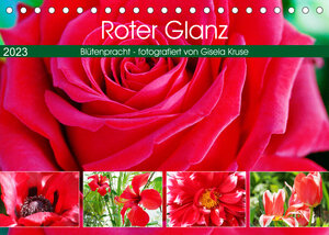 Buchcover Roter Glanz Blütenpracht (Tischkalender 2023 DIN A5 quer) | Gisela Kruse | EAN 9783675009707 | ISBN 3-675-00970-X | ISBN 978-3-675-00970-7