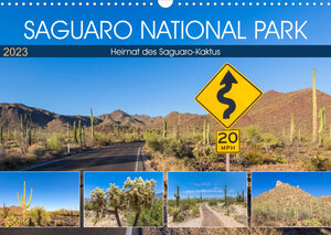 Buchcover SAGUARO NATIONAL PARK Heimat des Saguaro-Kaktus (Wandkalender 2023 DIN A3 quer) | Melanie Viola | EAN 9783675018877 | ISBN 3-675-01887-3 | ISBN 978-3-675-01887-7