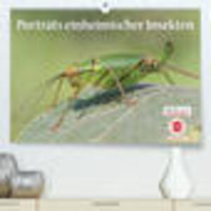 Buchcover GEOclick Lernkalender: Porträts einheimischer Insekten (Premium, hochwertiger DIN A2 Wandkalender 2023, Kunstdruck in Hochglanz) | Klaus Feske /GEOclick | EAN 9783675029064 | ISBN 3-675-02906-9 | ISBN 978-3-675-02906-4