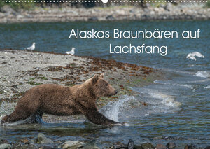 Buchcover Grizzlybären im Katmai Nationalpark Alaska (Wandkalender 2023 DIN A2 quer) | Photo4emotion.com | EAN 9783675037526 | ISBN 3-675-03752-5 | ISBN 978-3-675-03752-6