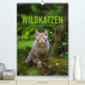 Buchcover Wildkatzen - Kleine Samtpfoten des Waldes (Premium, hochwertiger DIN A2 Wandkalender 2023, Kunstdruck in Hochglanz) | Christina Krutz | EAN 9783675049642 | ISBN 3-675-04964-7 | ISBN 978-3-675-04964-2