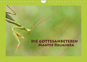 Buchcover Die Gottesanbeterin Mantis Religiosa (Wandkalender 2023 DIN A4 quer) | GUGIGEI | EAN 9783675079878 | ISBN 3-675-07987-2 | ISBN 978-3-675-07987-8