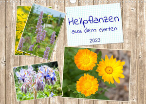 Buchcover Heilpflanzen aus dem Garten (Wandkalender 2023 DIN A3 quer) | Kerstin Waurick | EAN 9783675099524 | ISBN 3-675-09952-0 | ISBN 978-3-675-09952-4