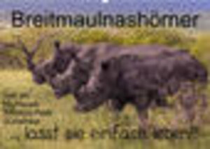 Buchcover Breitmaulnashörner - lasst sie einfach leben! (Wandkalender 2023 DIN A2 quer) | rsiemer | EAN 9783675139718 | ISBN 3-675-13971-9 | ISBN 978-3-675-13971-8