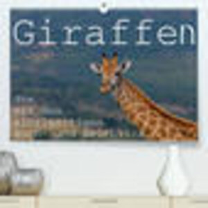 Buchcover Giraffen - Tiere mit dem einzigartigen Hoch- und Weitblick (Premium, hochwertiger DIN A2 Wandkalender 2023, Kunstdruck in Hochglanz) | rsiemer | EAN 9783675139770 | ISBN 3-675-13977-8 | ISBN 978-3-675-13977-0