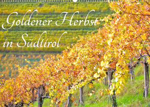 Buchcover Goldener Herbst in Südtirol (Wandkalender 2023 DIN A2 quer) | Lars Nullmeyer | EAN 9783675149274 | ISBN 3-675-14927-7 | ISBN 978-3-675-14927-4