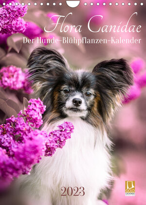 Buchcover Flora Canidae - der Hunde-Blühpflanzen-Kalender (Wandkalender 2023 DIN A4 hoch) | boegau-fotos | EAN 9783675149700 | ISBN 3-675-14970-6 | ISBN 978-3-675-14970-0