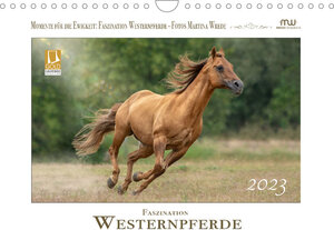 Buchcover Faszination Westernpferde (Wandkalender 2023 DIN A4 quer) | Martina Wrede - Wredefotografie | EAN 9783675149755 | ISBN 3-675-14975-7 | ISBN 978-3-675-14975-5