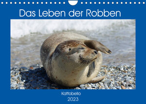 Buchcover Das Leben der Robben (Wandkalender 2023 DIN A4 quer) | Kattobello | EAN 9783675151611 | ISBN 3-675-15161-1 | ISBN 978-3-675-15161-1