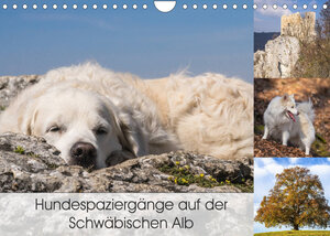 Buchcover Hundespaziergänge auf der Schwäbischen Alb (Wandkalender 2023 DIN A4 quer) | Monika Scheurer | EAN 9783675178663 | ISBN 3-675-17866-8 | ISBN 978-3-675-17866-3
