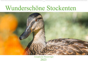 Buchcover Wunderschöne Stockenten - Europäische Wasservögel (Wandkalender 2023 DIN A2 quer) | pixs:sell | EAN 9783675179134 | ISBN 3-675-17913-3 | ISBN 978-3-675-17913-4