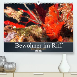 Buchcover Bewohner im Riff (Premium, hochwertiger DIN A2 Wandkalender 2023, Kunstdruck in Hochglanz) | Bianca Schumann | EAN 9783675183599 | ISBN 3-675-18359-9 | ISBN 978-3-675-18359-9