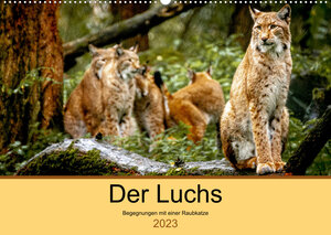 Buchcover Der Luchs - Begegnungen mit einer Raubkatze (Wandkalender 2023 DIN A2 quer) | Ralf Metzger | EAN 9783675188754 | ISBN 3-675-18875-2 | ISBN 978-3-675-18875-4