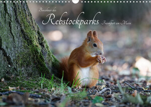 Buchcover Bewohner des Rebstockparks Frankfurt am Main (Wandkalender 2023 DIN A3 quer) | Dieter Fuchs | EAN 9783675265189 | ISBN 3-675-26518-8 | ISBN 978-3-675-26518-9