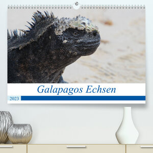 Buchcover Galapagos Echsen (Premium, hochwertiger DIN A2 Wandkalender 2023, Kunstdruck in Hochglanz) | Johannes Reeh | EAN 9783675269385 | ISBN 3-675-26938-8 | ISBN 978-3-675-26938-5