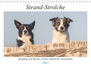 Buchcover Strand-Strolche (Wandkalender 2023 DIN A4 quer) | Barbara Homolka | EAN 9783675279988 | ISBN 3-675-27998-7 | ISBN 978-3-675-27998-8