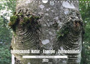 Buchcover Entdeckend: Natur - Energie - Zufriedenheit (Wandkalender 2023 DIN A4 quer) | Jürg Knaus | EAN 9783675318328 | ISBN 3-675-31832-X | ISBN 978-3-675-31832-8