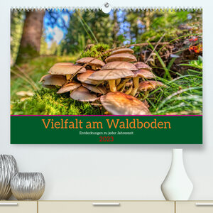 Buchcover Vielfalt am Waldboden (Premium, hochwertiger DIN A2 Wandkalender 2023, Kunstdruck in Hochglanz) | Torsten Irmer | EAN 9783675332683 | ISBN 3-675-33268-3 | ISBN 978-3-675-33268-3