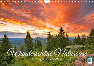 Buchcover Wunderschöne Naturoase: Im Bayerischen Wald (Wandkalender 2023 DIN A4 quer) | CALVENDO | EAN 9783675340701 | ISBN 3-675-34070-8 | ISBN 978-3-675-34070-1