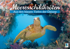 Buchcover Meeresschildkröten: Aus den blauen Tiefen der Ozeane (Wandkalender 2023 DIN A2 quer) | CALVENDO | EAN 9783675350458 | ISBN 3-675-35045-2 | ISBN 978-3-675-35045-8