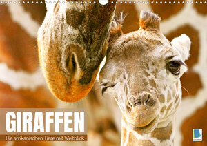Buchcover Giraffen: die afrikanischen Tiere mit Weitblick (Wandkalender 2023 DIN A3 quer) | CALVENDO | EAN 9783675350540 | ISBN 3-675-35054-1 | ISBN 978-3-675-35054-0