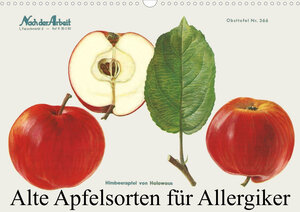 Buchcover Alte Apfelsorten für Allergiker (Wandkalender 2023 DIN A3 quer) | Willi 1948 | EAN 9783675359321 | ISBN 3-675-35932-8 | ISBN 978-3-675-35932-1