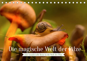 Buchcover Die magische Welt der Pilze (Tischkalender 2023 DIN A5 quer) | Simone Sperber | EAN 9783675359895 | ISBN 3-675-35989-1 | ISBN 978-3-675-35989-5