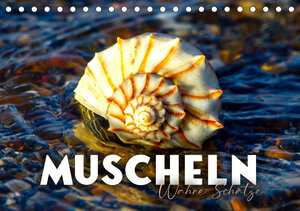 Buchcover Muscheln - Wahre Schätze (Tischkalender 2023 DIN A5 quer) | SF | EAN 9783675394384 | ISBN 3-675-39438-7 | ISBN 978-3-675-39438-4