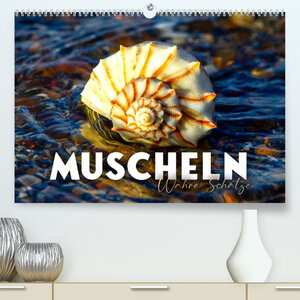 Buchcover Muscheln - Wahre Schätze (Premium, hochwertiger DIN A2 Wandkalender 2023, Kunstdruck in Hochglanz) | SF | EAN 9783675394407 | ISBN 3-675-39440-9 | ISBN 978-3-675-39440-7