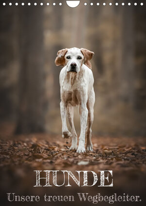 Buchcover Hunde - Unsere treuen Wegbegleiter. (Wandkalender 2023 DIN A4 hoch) | Tierfotografie Andreas Kossmann | EAN 9783675407176 | ISBN 3-675-40717-9 | ISBN 978-3-675-40717-6