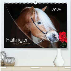 Buchcover Haflinger-Pferde in Reinzucht (hochwertiger Premium Wandkalender 2024 DIN A2 quer), Kunstdruck in Hochglanz | Natural-Golden.de Natural-Golden.de | EAN 9783675464254 | ISBN 3-675-46425-3 | ISBN 978-3-675-46425-4