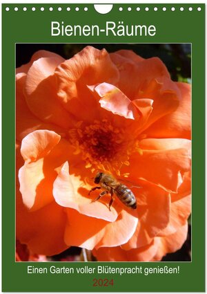 Buchcover Bienen-Räume (Wandkalender 2024 DIN A4 hoch), CALVENDO Monatskalender | Ellen Westphal | EAN 9783675533424 | ISBN 3-675-53342-5 | ISBN 978-3-675-53342-4