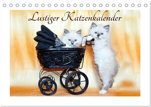 Buchcover Lustiger Katzenkalender (Tischkalender 2024 DIN A5 quer), CALVENDO Monatskalender | Jennifer Chrystal | EAN 9783675541122 | ISBN 3-675-54112-6 | ISBN 978-3-675-54112-2