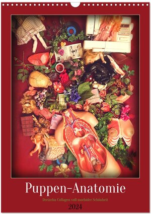 Buchcover Puppen-Anatomie (Wandkalender 2024 DIN A3 hoch), CALVENDO Monatskalender | Ravienne Art | EAN 9783675542389 | ISBN 3-675-54238-6 | ISBN 978-3-675-54238-9