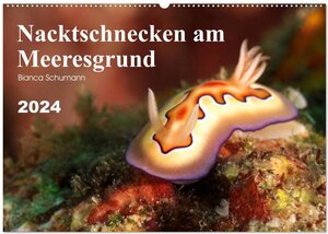 Buchcover Nacktschnecken am Meeresgrund (Wandkalender 2024 DIN A2 quer), CALVENDO Monatskalender | Bianca Schumann | EAN 9783675678279 | ISBN 3-675-67827-X | ISBN 978-3-675-67827-9